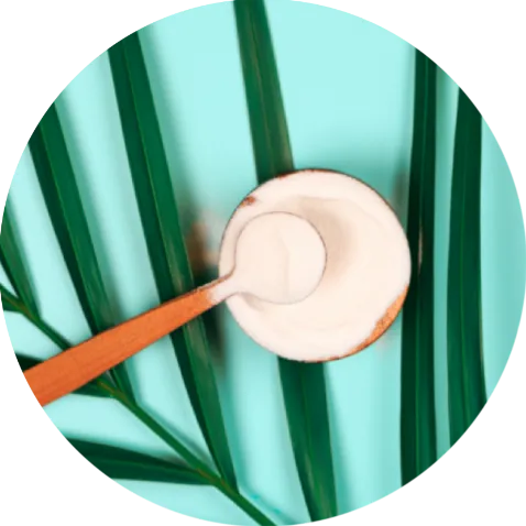 A bowl and spoon of collagen powder on a leaf