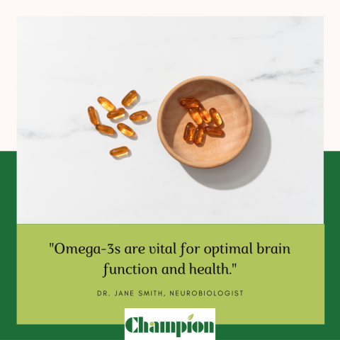 🧠 How Omega-3 Supports Brain Function and Cognitive Health