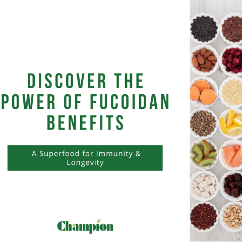 Fucoidan Benefits: A Superfood for Immunity & Longevity