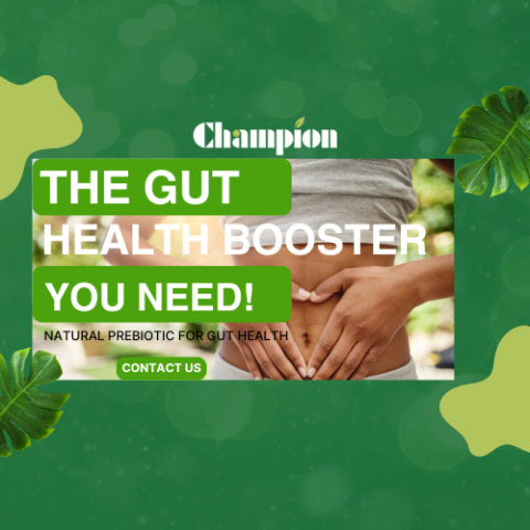 📢 菊糖 (Inulin) – The Gut Health Booster You Need!