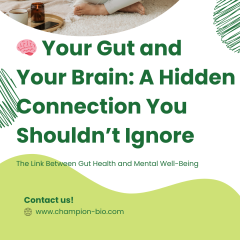 🧠 Your Gut and Your Brain: The Silent Conversation That Shapes Your Well-Being