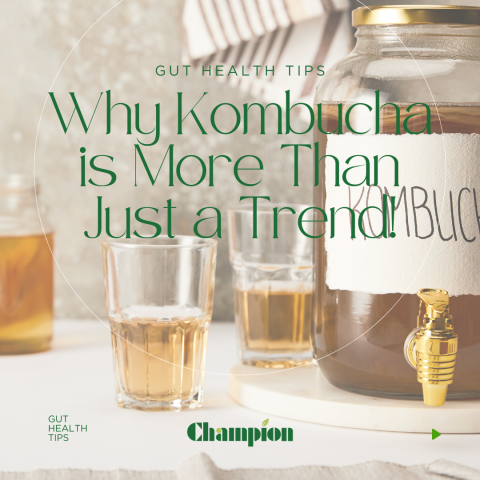 📢 Why Kombucha is More Than Just a Trend