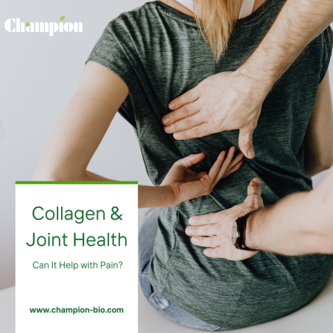 💪 Struggling with Joint Pain? Collagen May Be the Solution!