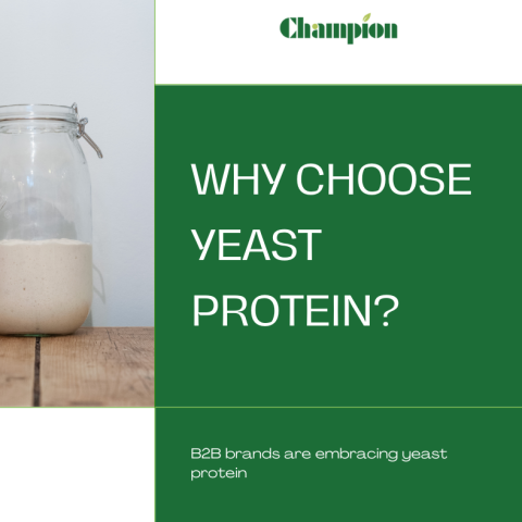 🔍 Why Are B2B Brands Choosing Yeast Protein?