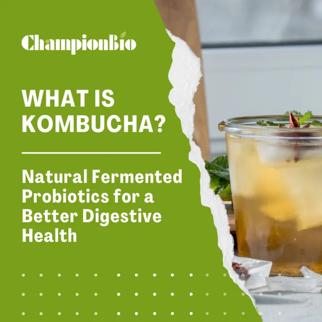 Kombucha Health Benefits, Nutrition, and More
